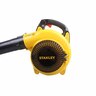 Petrol Leaf Blower