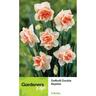 Daffodil Double Replete&nbsp; &nbsp;5 Pack