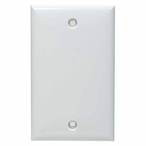 Blank Plate