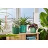 Plastic Ocean Indoor Pot