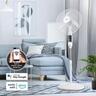 Electronic Pedestal fan with WiFI