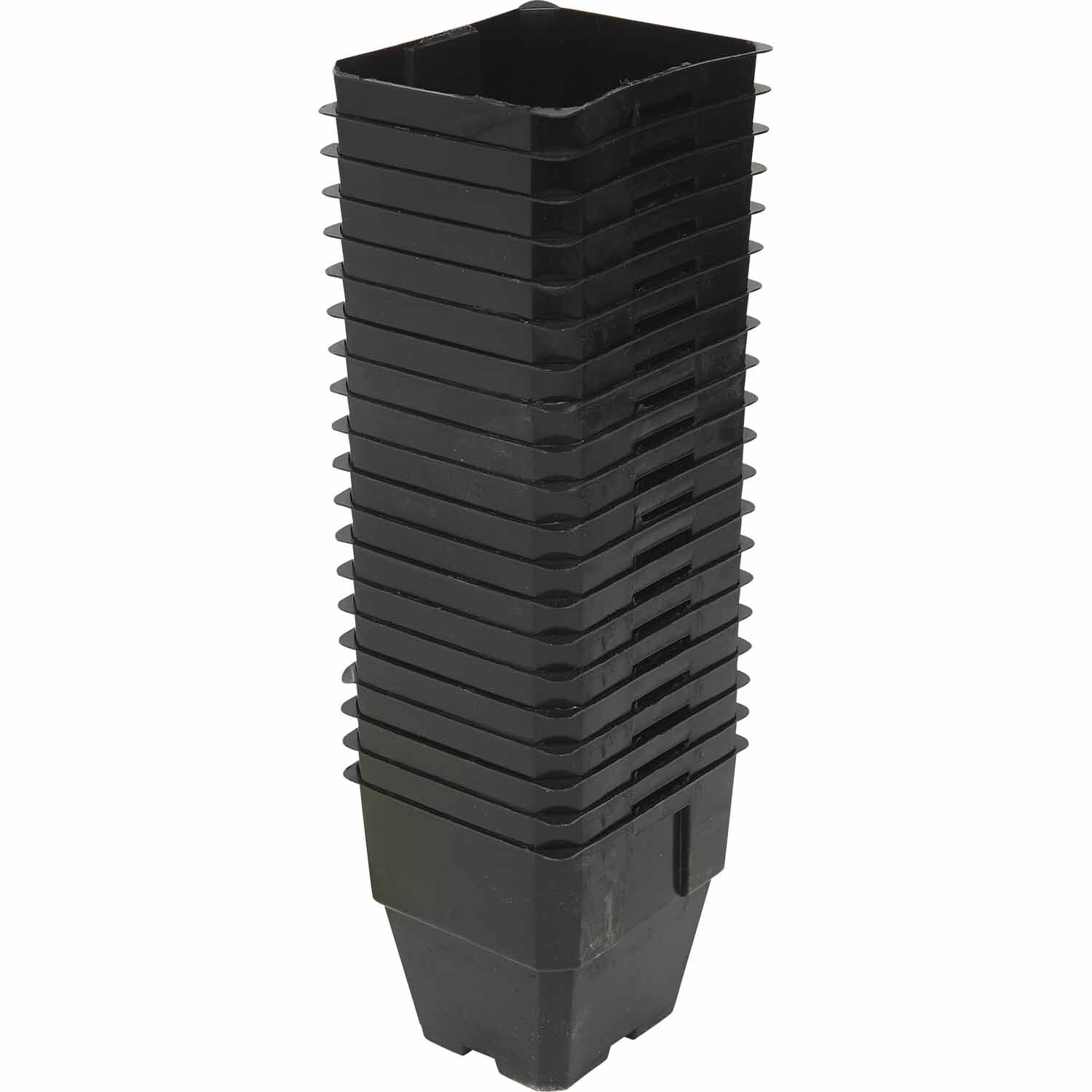 Maxi Pot - 20 Pack