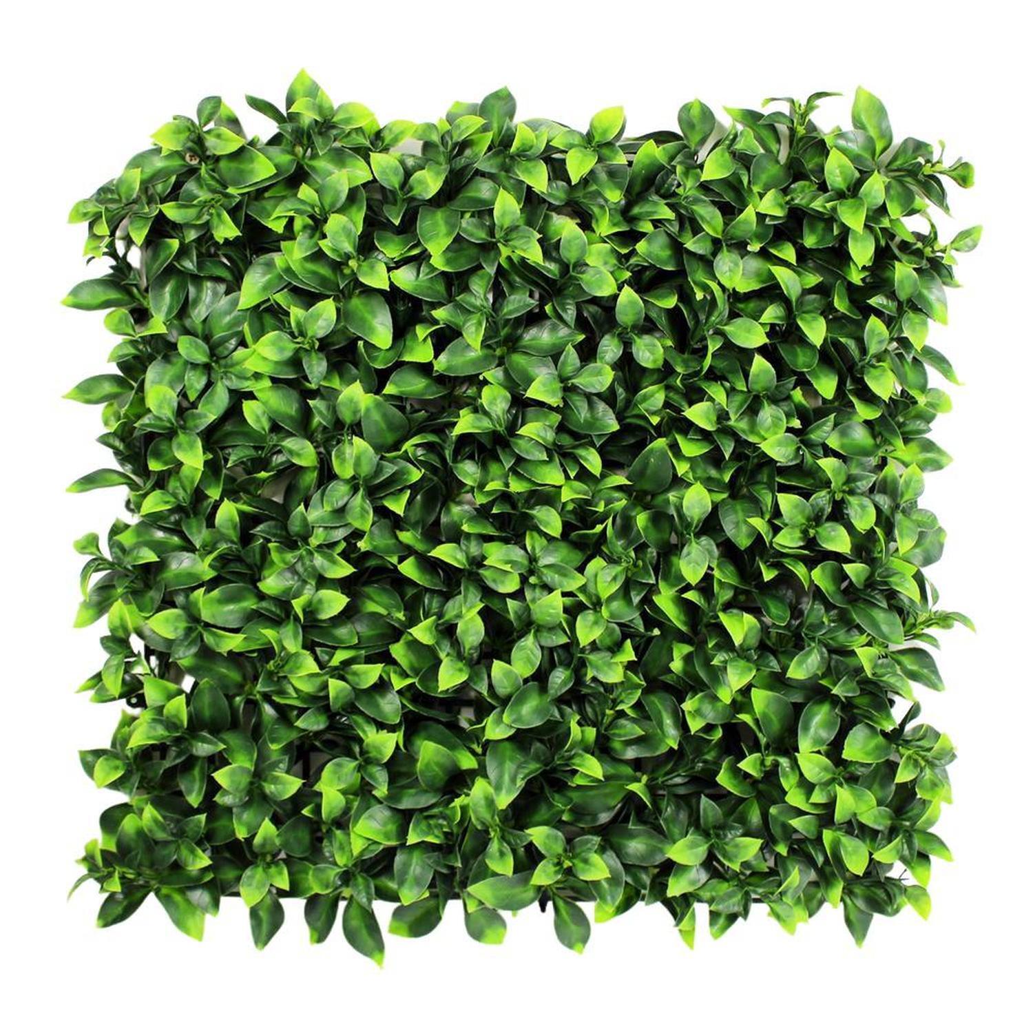 Photinia Gold Artificial Panel