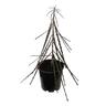 Pseudopanax Ferox 3.3L