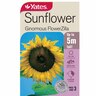 Flower Seed Seed Flower Sunflower 'Ginormous FlowerZilla'