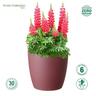 Recycled Plastic Elm Pot 12cm Claret  Claret