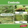 Insecticide
