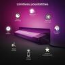 Hue Linear Outdoor Light Amarant