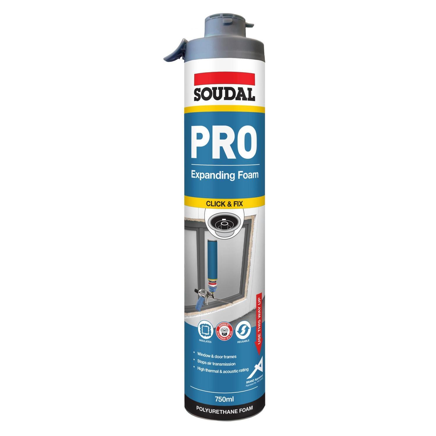 Pro Expanding Foam Click and Fix 750ml Champange