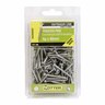 Treated Pine Screws 8g x 40mm Pack of 100 Galvanised