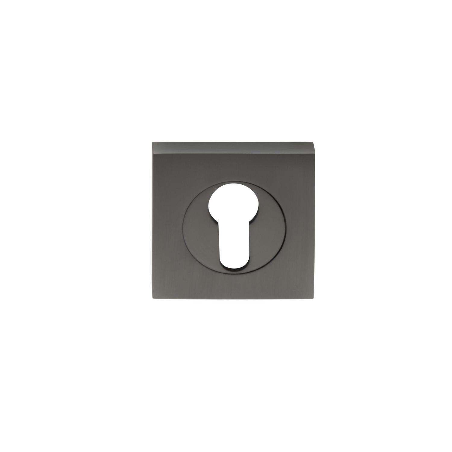 Euro Escutcheon