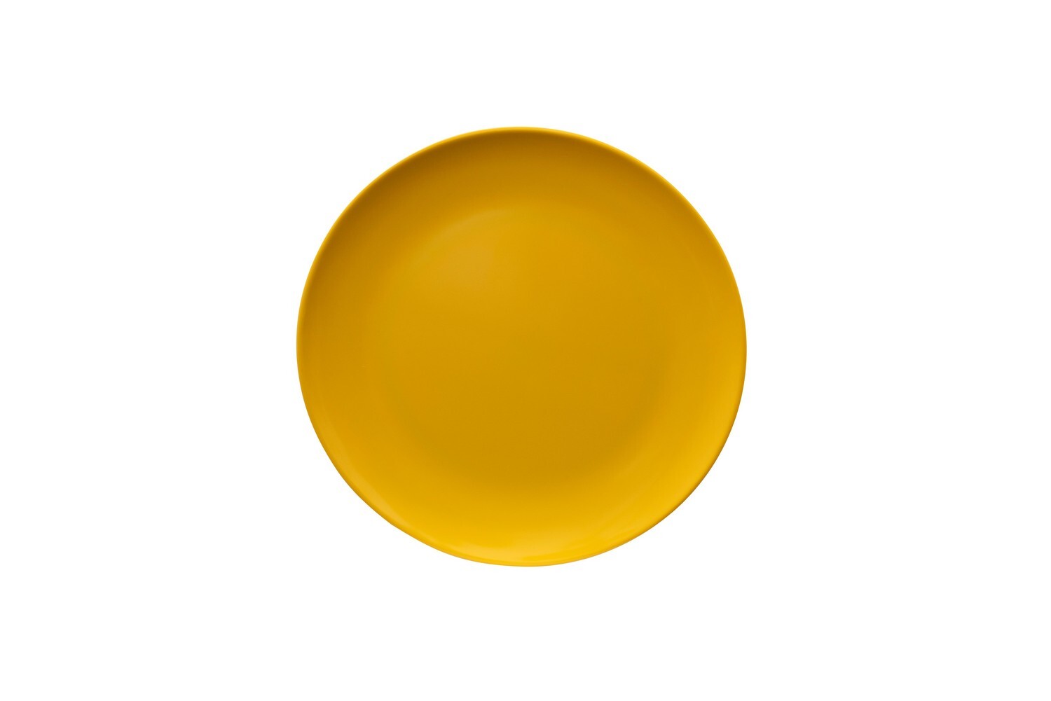 Melamine Dinner Plate