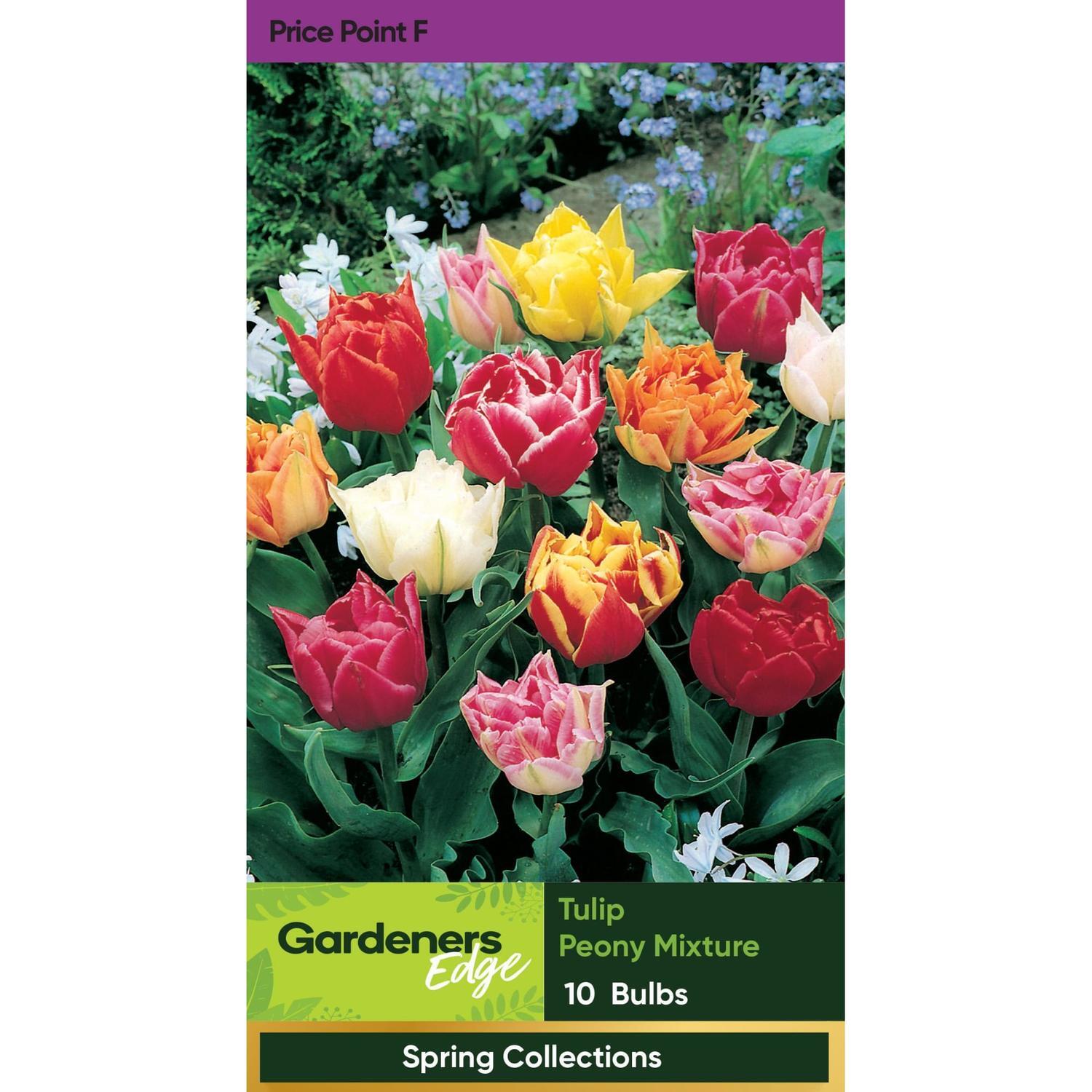 Tulip Peony Mix