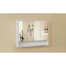 LED MIirror Cabinet H: 700mm W: 900mm D: 160mm White