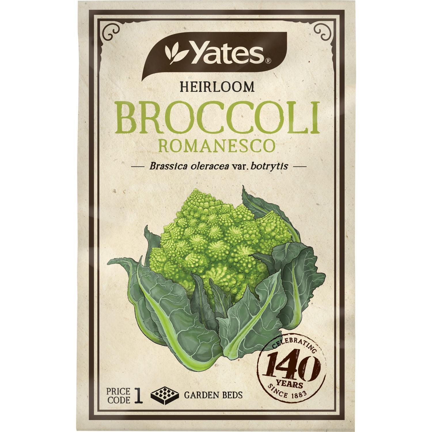 Heirloom Seeds Broccoli Romanesco