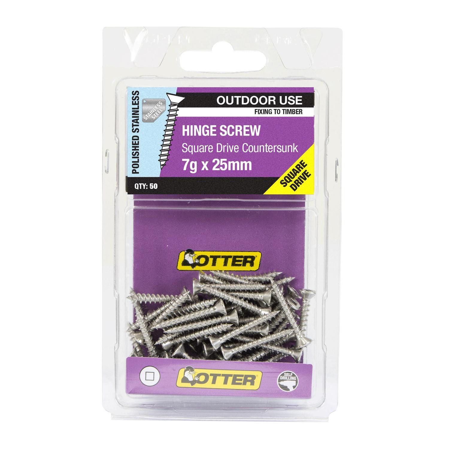 Hinge Screws