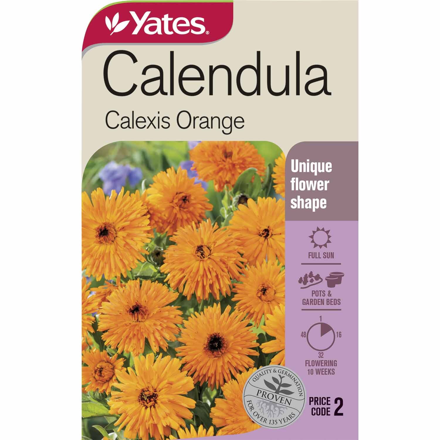 Calendula Calexis Orange