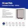 Cat Door