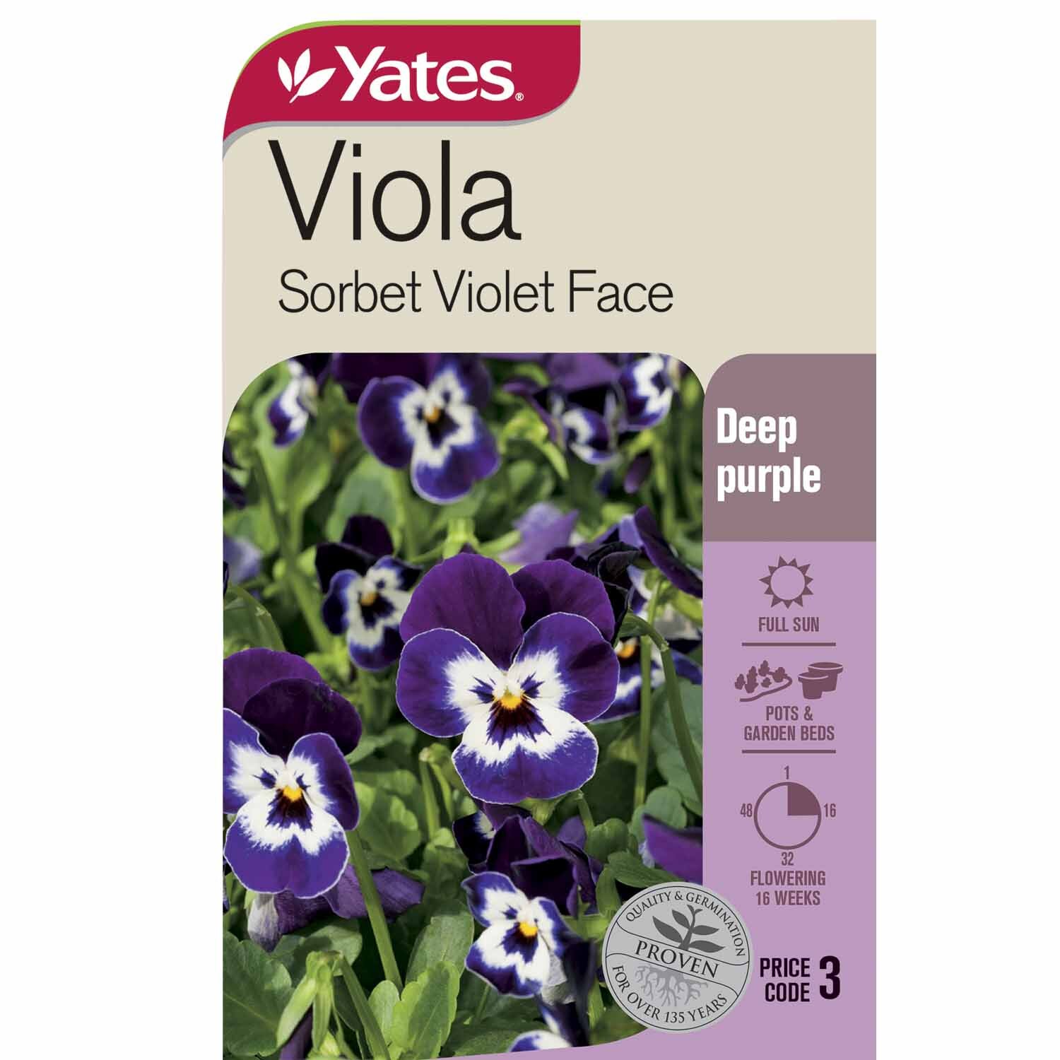 Viola 'Sorbet Violet Face'