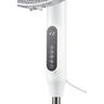 Pedestal Fan