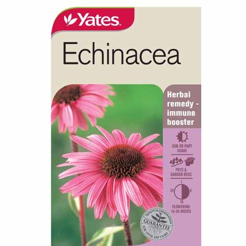 Echinacea