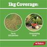 Yates Lawn Seed'n'Feed 1kg