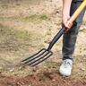 Carbon Steel D-Handle Border Fork