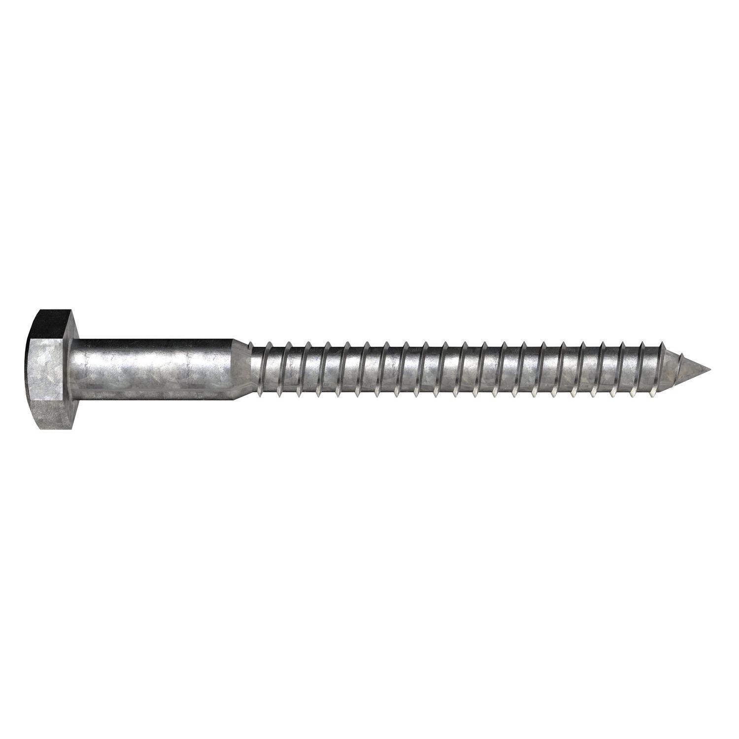 Coach Screw