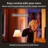 Hue Downlight Akari