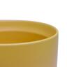 Indoor Adelle Pot and Saucer 18cm Mustard
