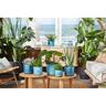Plastic Ocean Indoor Pot