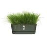 Plastic Trough with Saucer Green 50cm