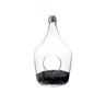 TERRARIUM GLASS BOTTLE