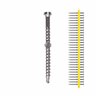 Decking Screw