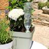 Aquasolo Universal Watering Cone Single Pack