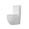 Bella Rimless Back to Wall Toilet Suite