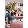 Indoor Solido Cup Pot Pink 17.5cm 160 x 176 x 176mm