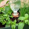 Aquasolo Universal Watering Cone Single Pack