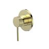 Maia Flow Boost Shower Mixer  Brushed Brass