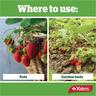 Liquid Fertiliser Strawberry & Berry Concentrate