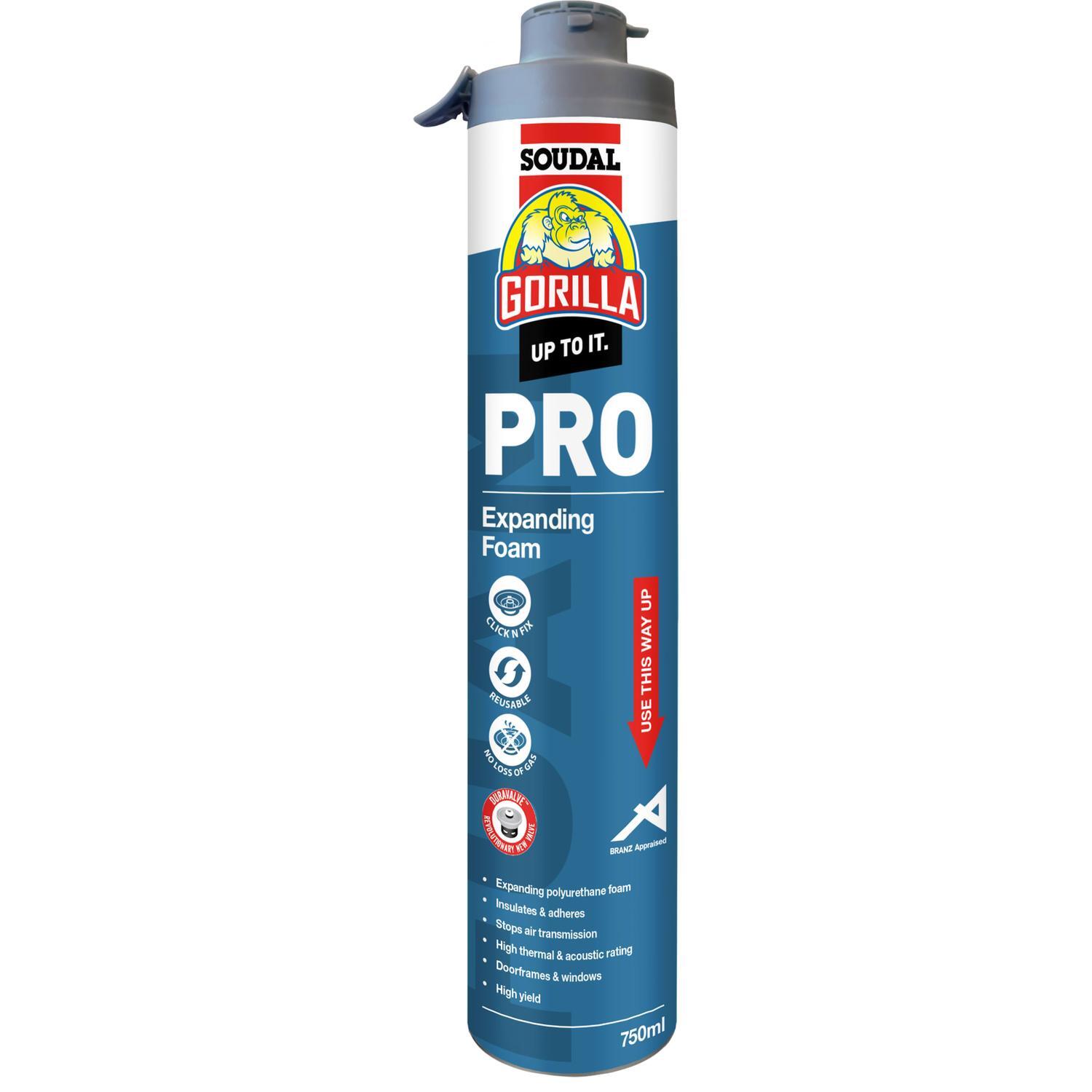 Pro Expanding Foam Click & Fix