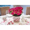 Hydrangea Strawberry and Cream