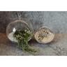 Glass Ball Terrarium