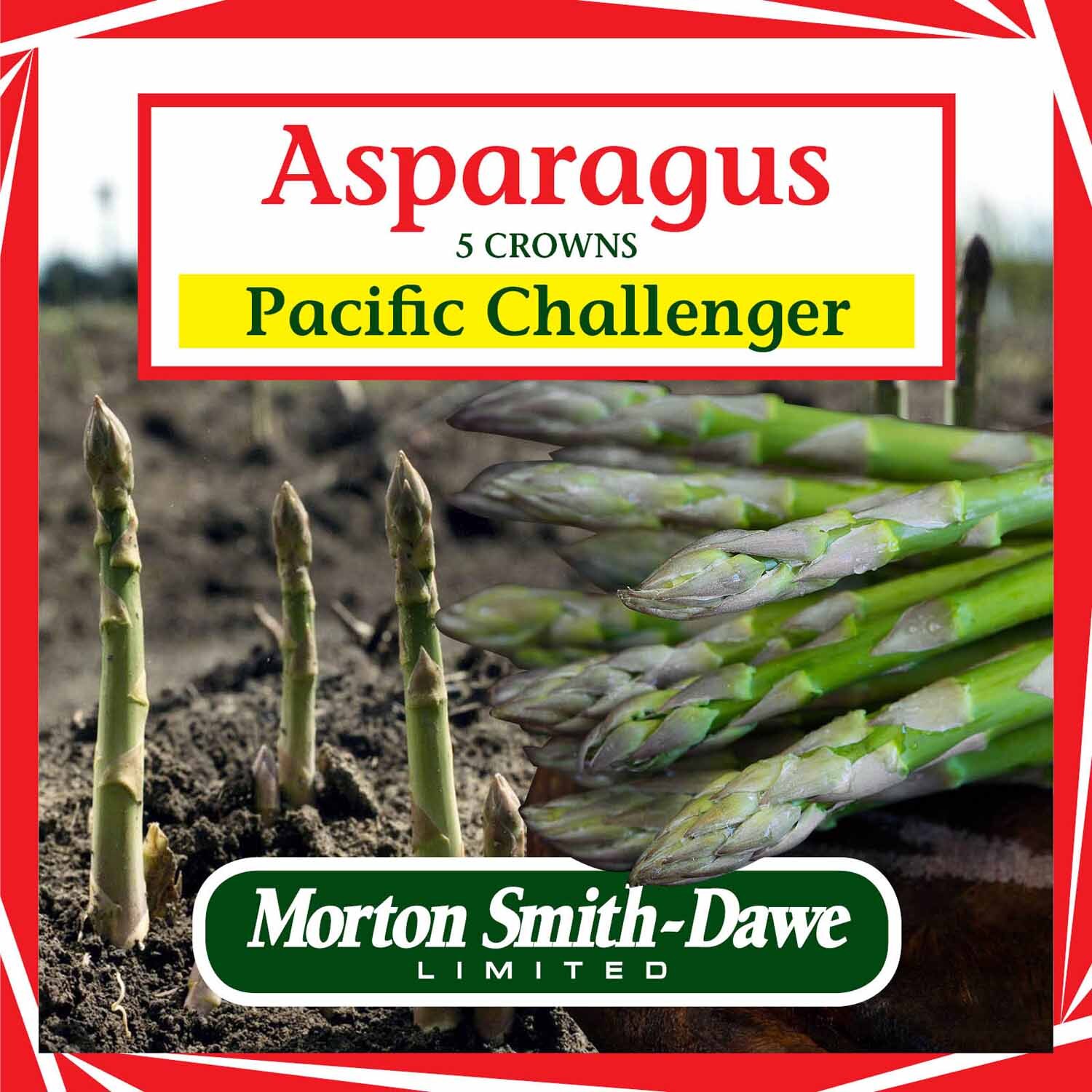 Pacific Challenger Asparagus Seeds
