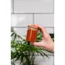 Spice Jar