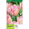 Tulip Double 'Foxtrot'