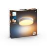 Hue Enrave Ceiling Light