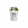 Petunia Vista Silverberry