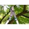 Pruning Lopper