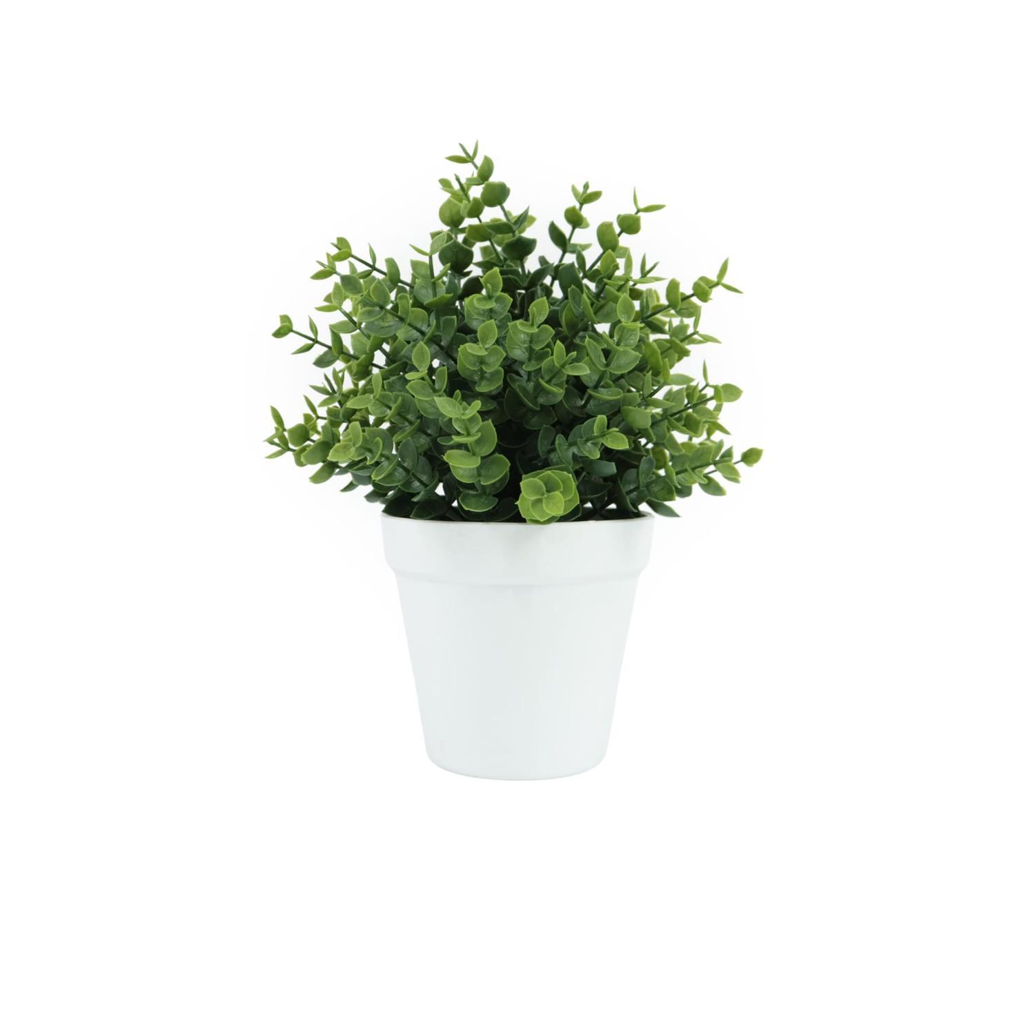 Artificial Eucalyptus Plant in Pot 11cm